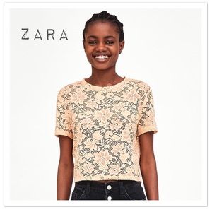 Zara Cropped Short Sleeve Lace Top - NWT